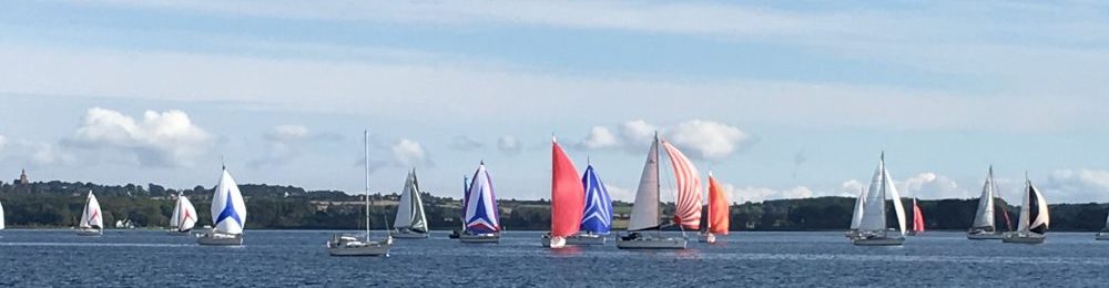 Stenbukken Grundejerforening